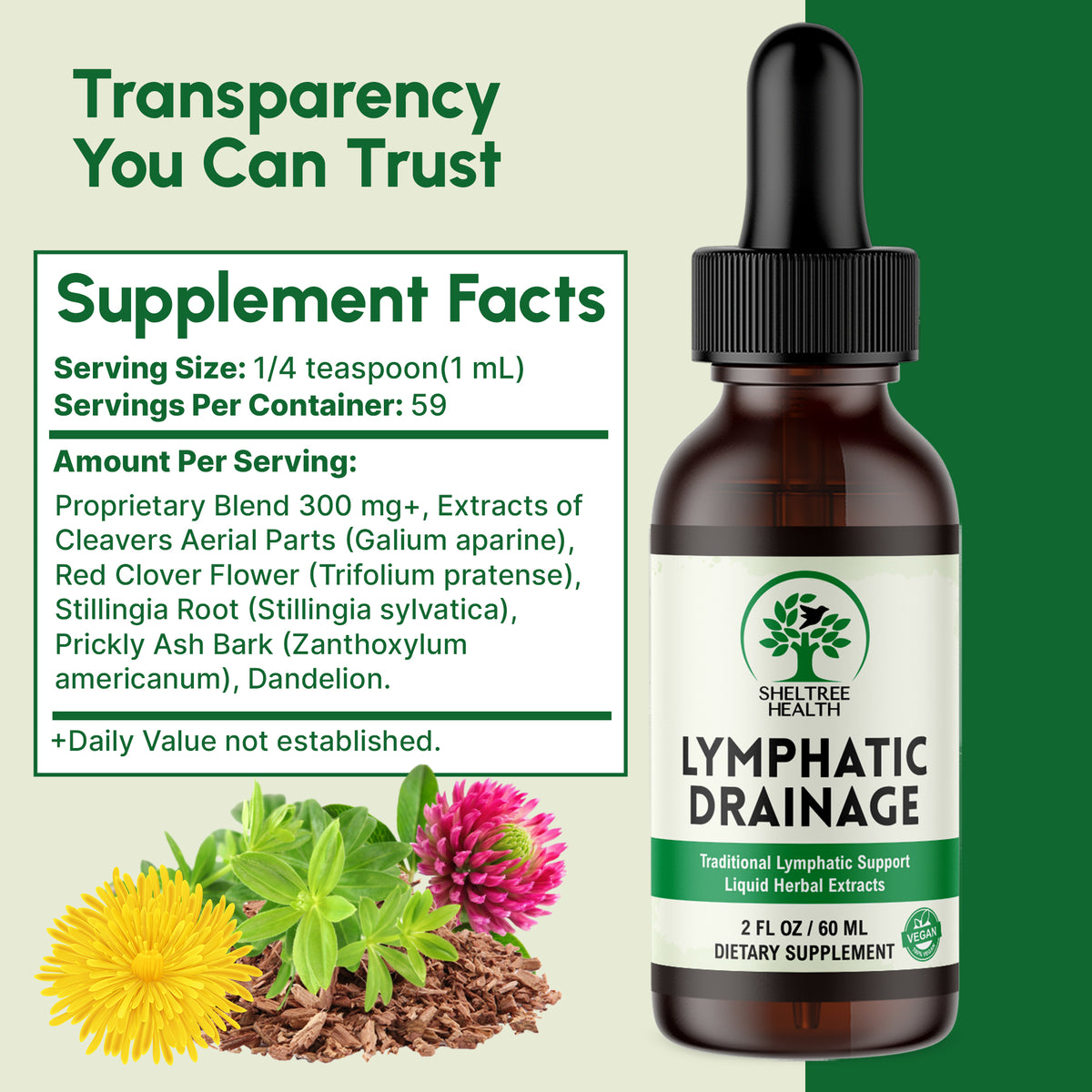 Lymphatic Drainage Drops, 2 Fl. Oz